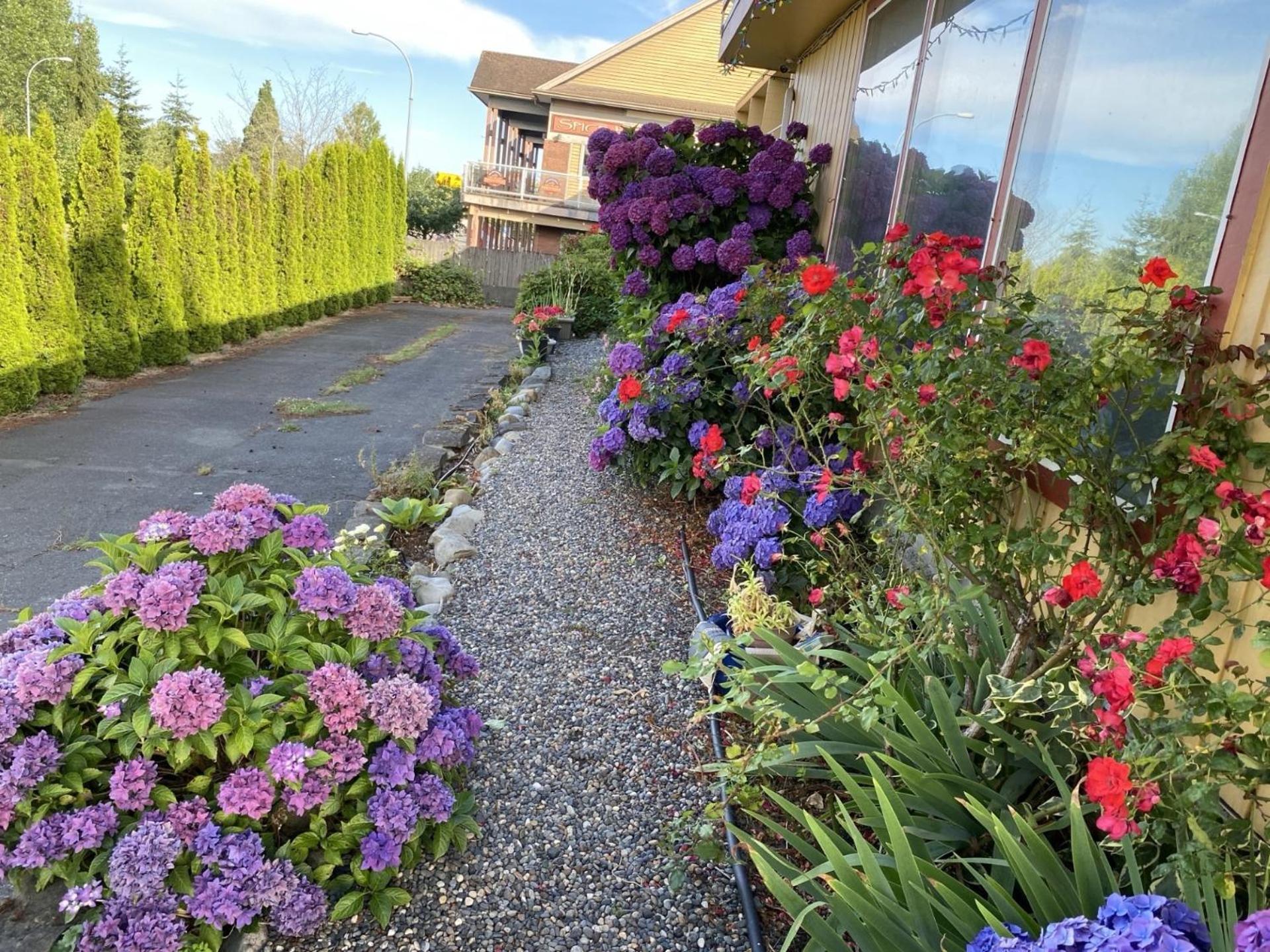 Holiday House Motel Ladysmith Exterior photo